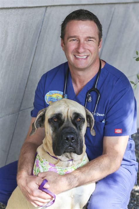 Malibu Coast Animal Hospital